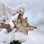 Snow Winter Wintry Star Poinsettia  - congerdesign / Pixabay