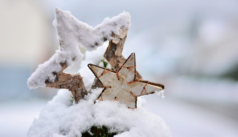 Snow Winter Wintry Star Poinsettia  - congerdesign / Pixabay